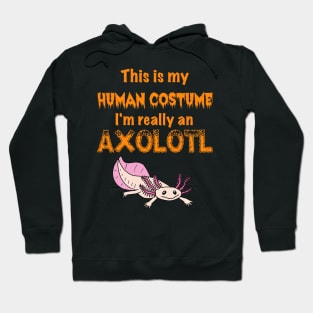 This is my Human Costume, I'm really an Axolotl Hoodie